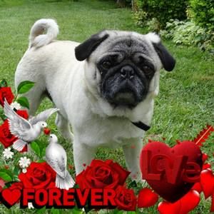 Meet your Posher, Melanie